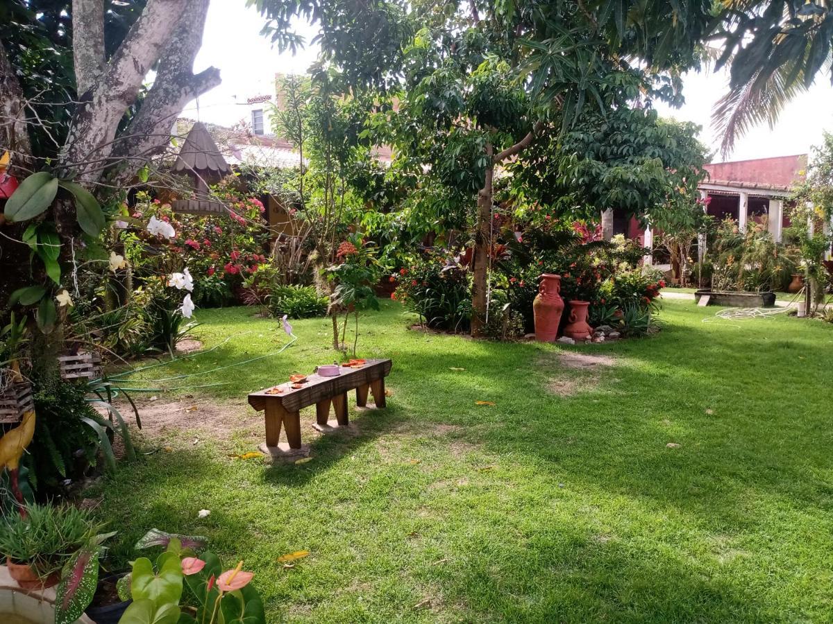 Pousada Bromelias - Suites E Aptos Nova Vicosa Bagian luar foto